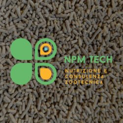 NPM Mangime animali da cortile e uccelli pellet (Secondo periodo)