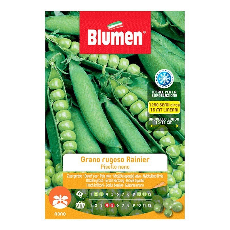Pisello grano rugoso rainer